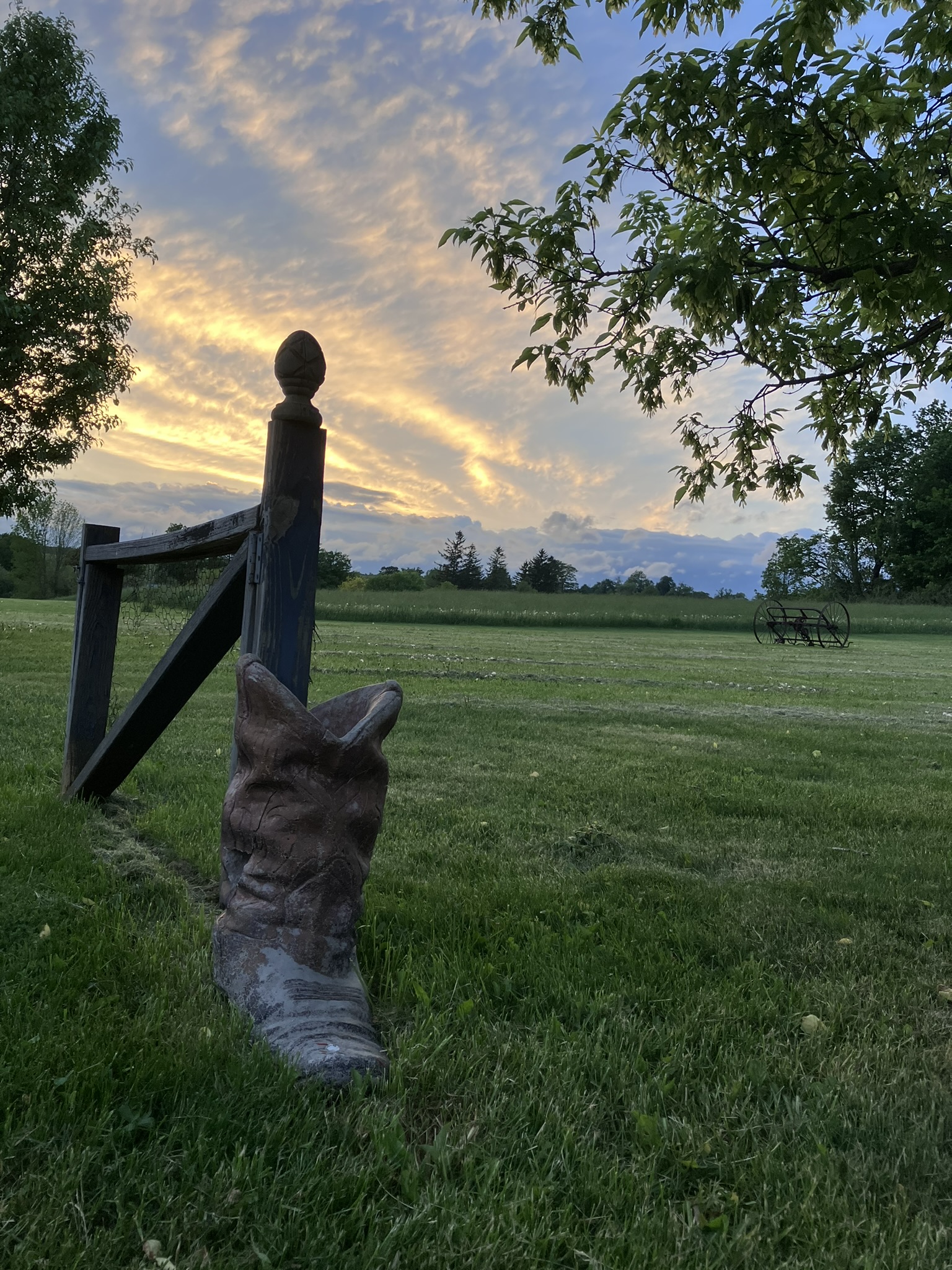 Boot-Sunset.JPEG